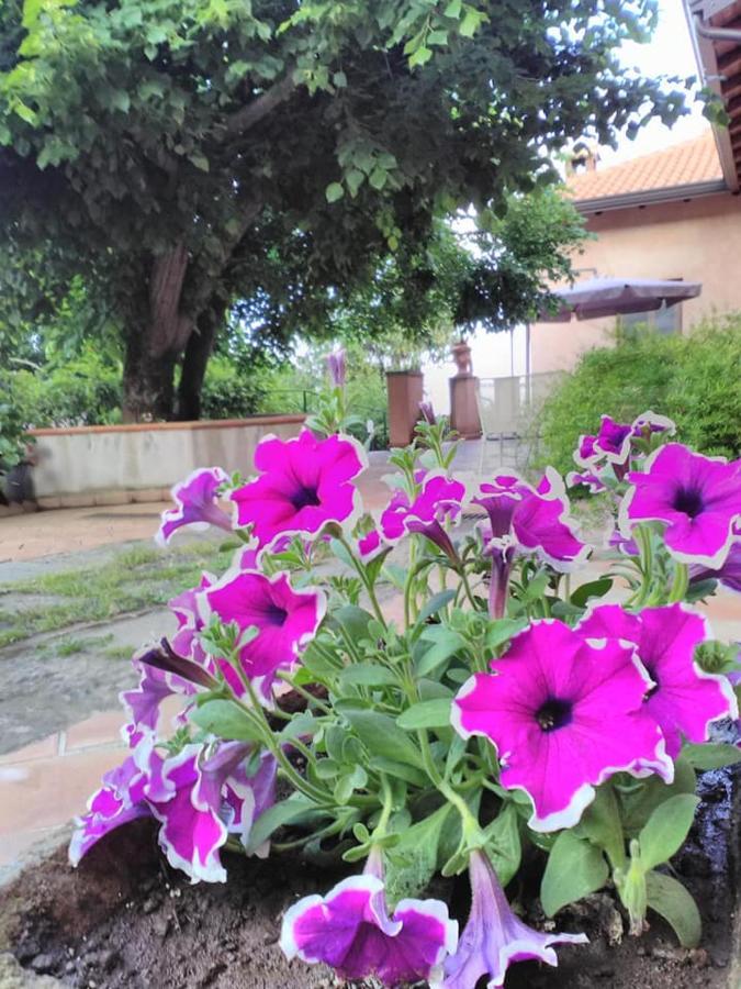 La Corte Di Bafe B&B "Slow Life" Дзаферана Етнеа Екстериор снимка